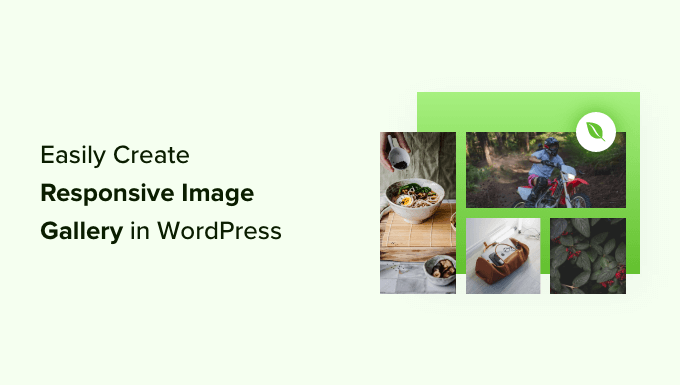 How to Easily Create Responsive WordPress Image Galleries with Envira