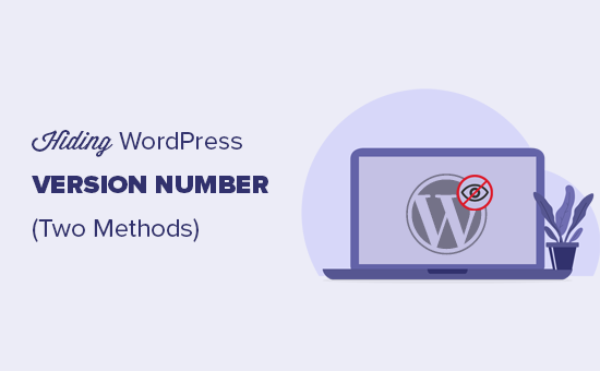 The Right Way to Remove WordPress Version Number (2025)